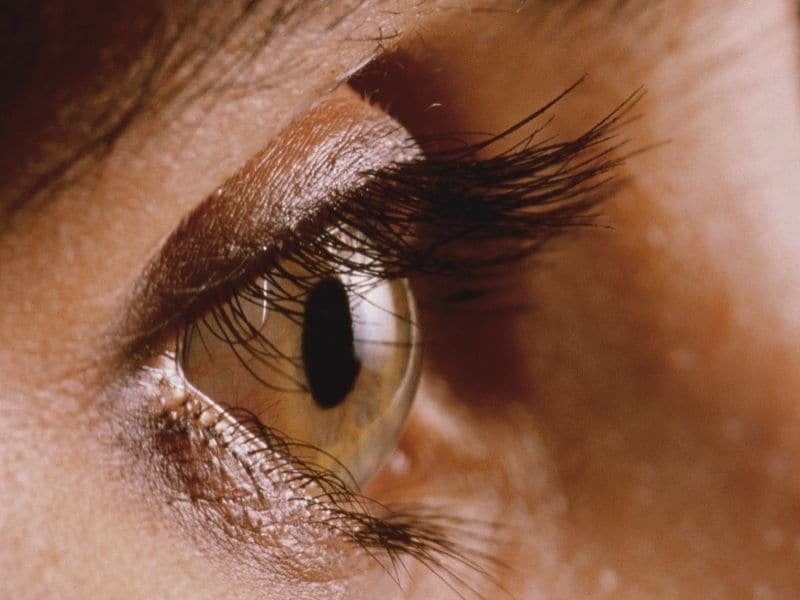 Important Qulities in the Effective Eye Workout