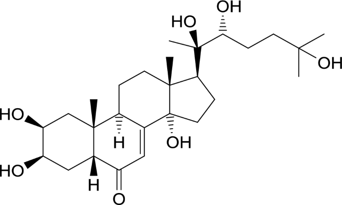 Ecdysteroids: Reasons That They are Popularly Utilized