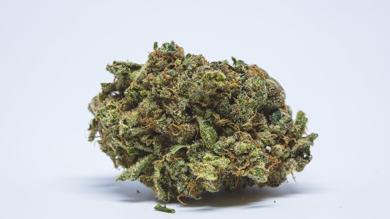 Summary of Blue Cookies Strain: Traits, Health Benefits, and Effect Guide