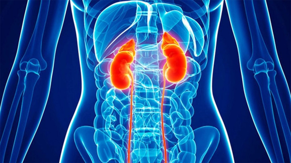 Does Treatment for Hua Loxium Kidney Disease Exist?