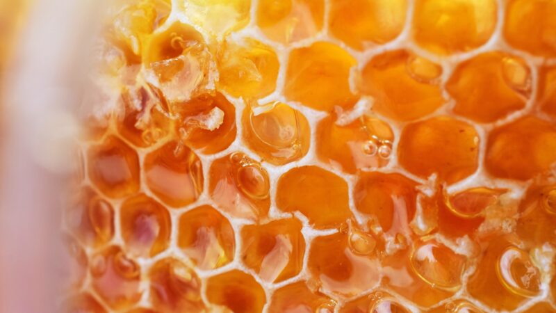 Enjoy the Delicious Taste of Flavored Creamed Honey