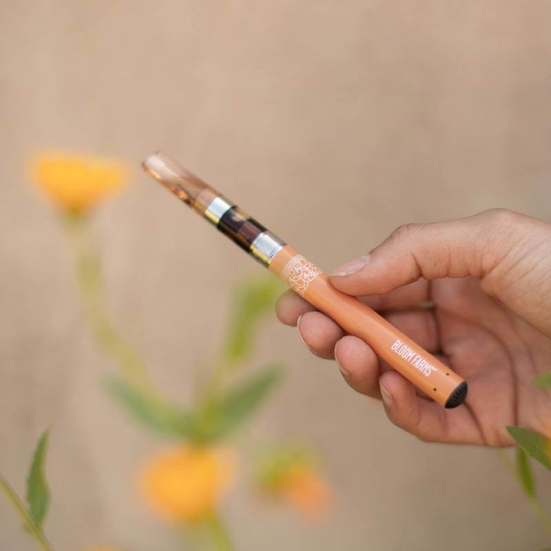 Shop CBD Vape Pen And Gain its Advantages.