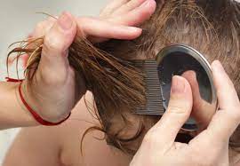 Tips For Taking Care Of Your Hair Type