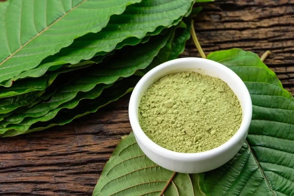 Benefits of White Maeng Da Kratom