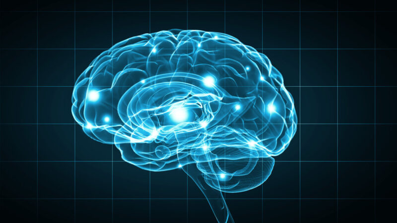 Understanding How Alcohol and Drugs Affect the Brain